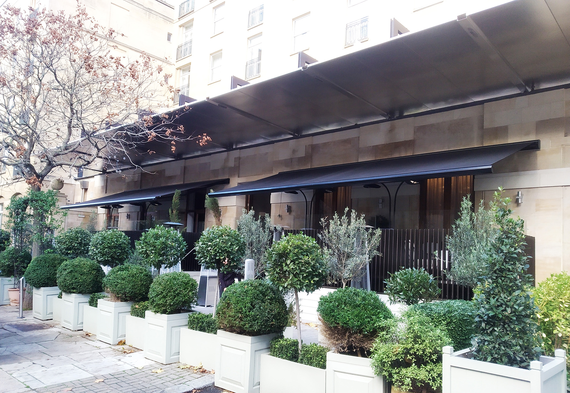 Signature awning at the Berkeley