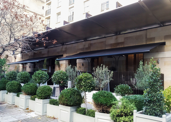 Restaurant Awning