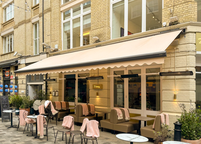 Commercial Awning Ziggy Green