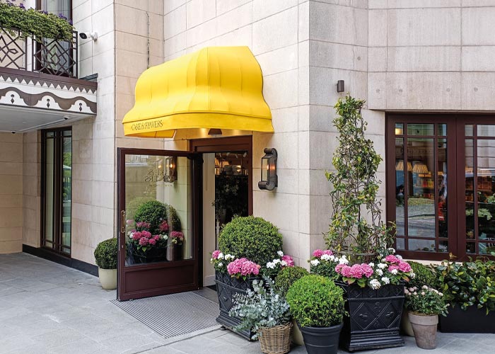 Commercial Canopy