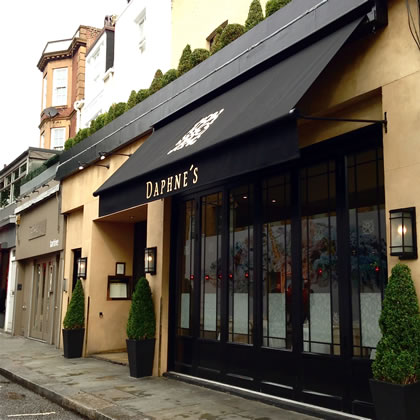 Exquisite Signature Regency Canopy for Daphne's in Chelsea