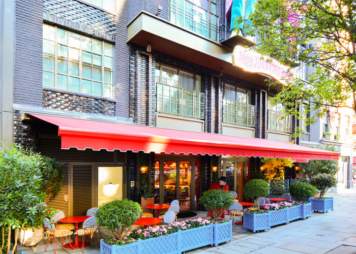 Terrace Awning