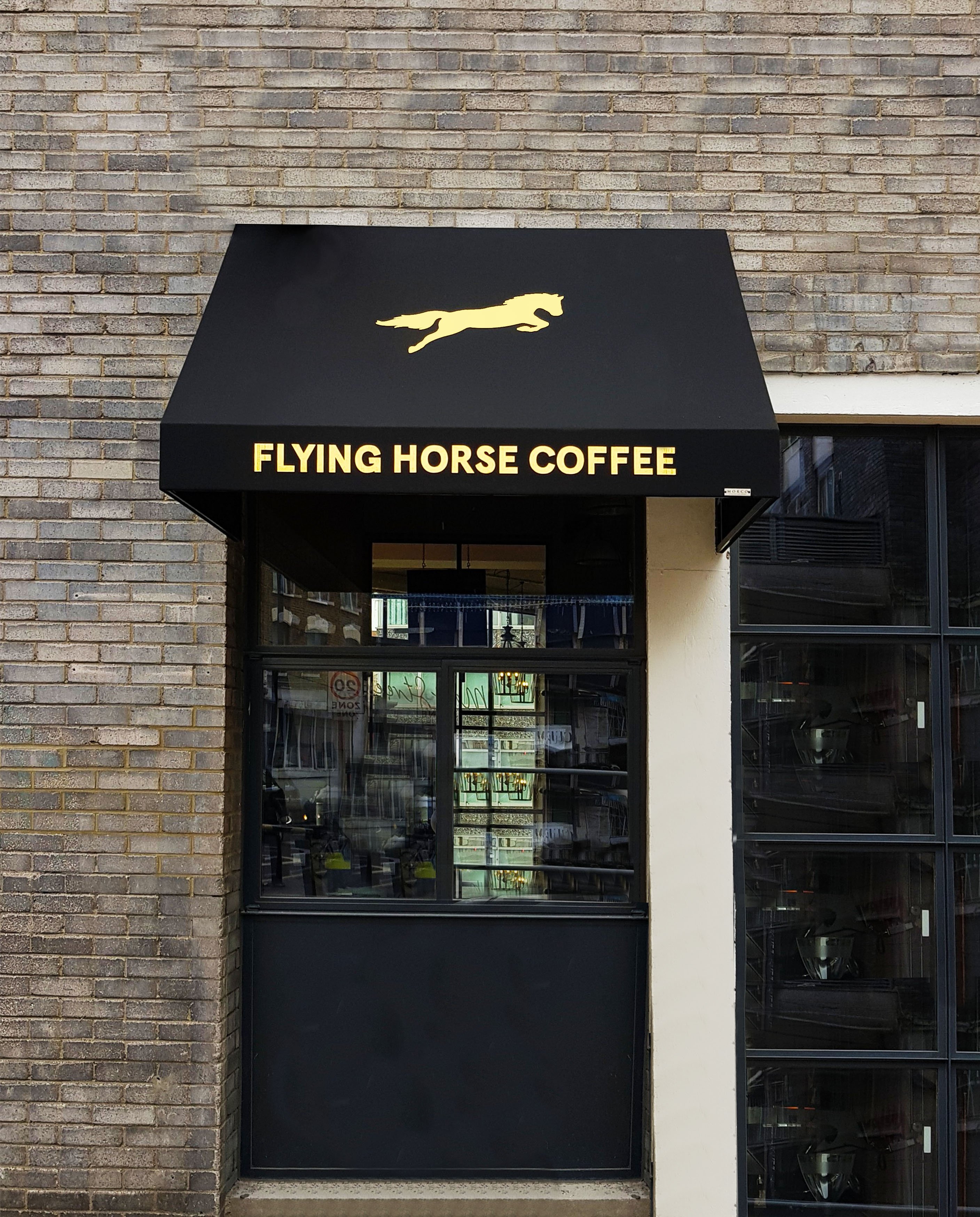 Flying Horse RIB canopy