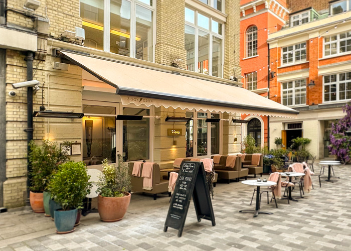 Folding-Arm Awning Ziggy Green