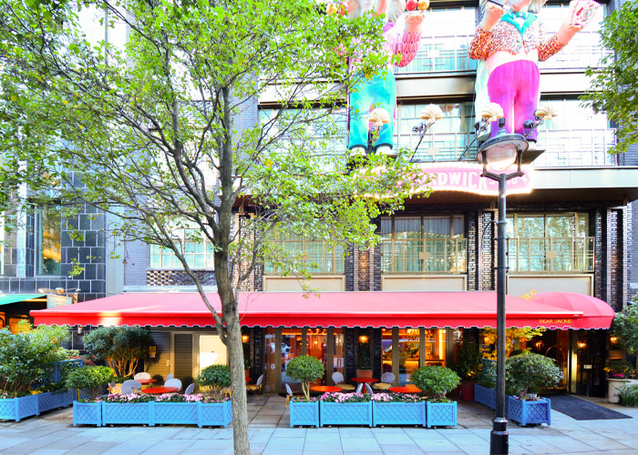 Terrace Awning