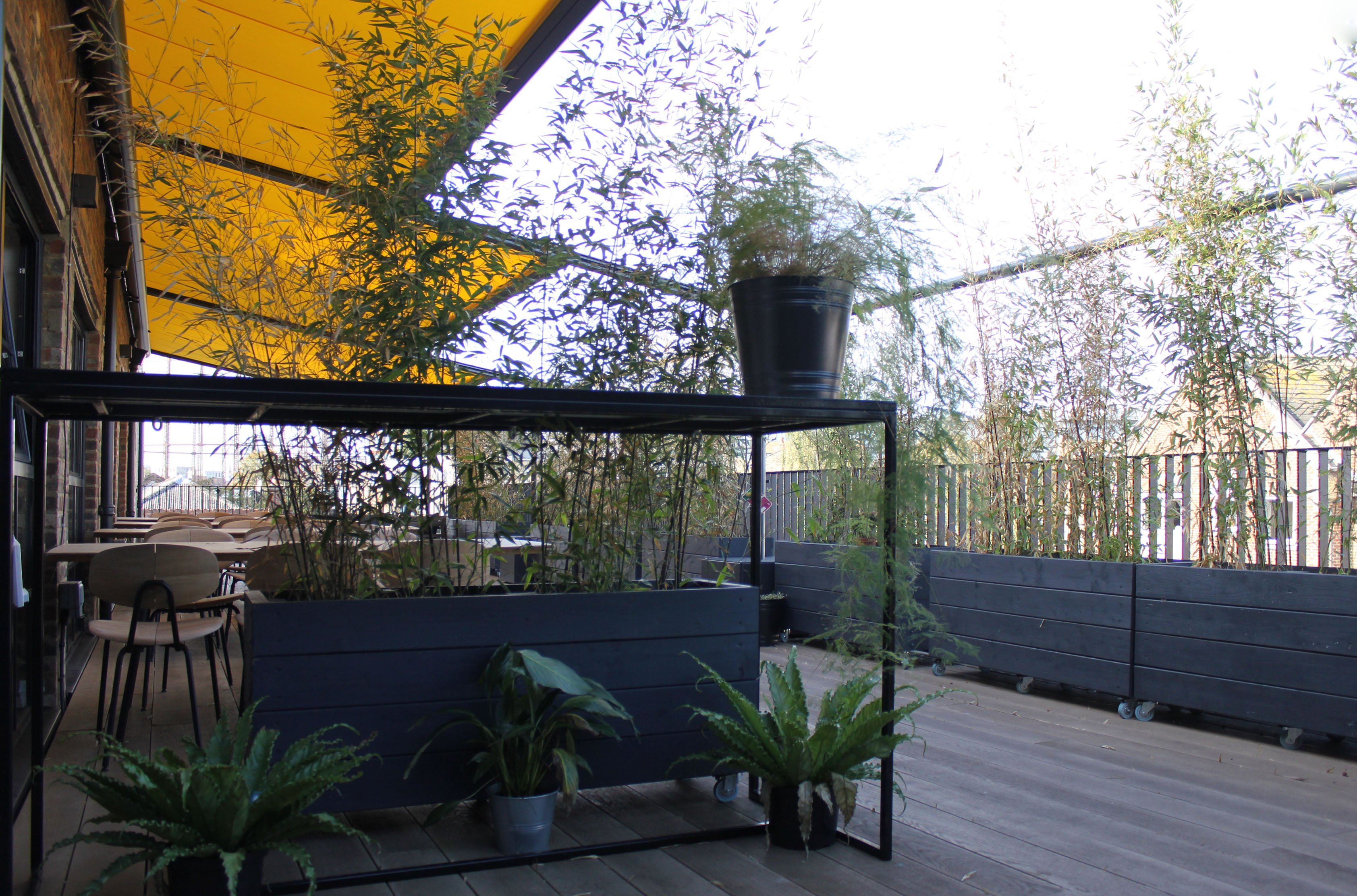 Markilux pergola 110 Tala Studios
