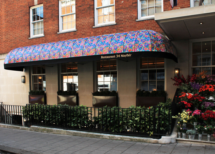  Pattern Branding by Morco