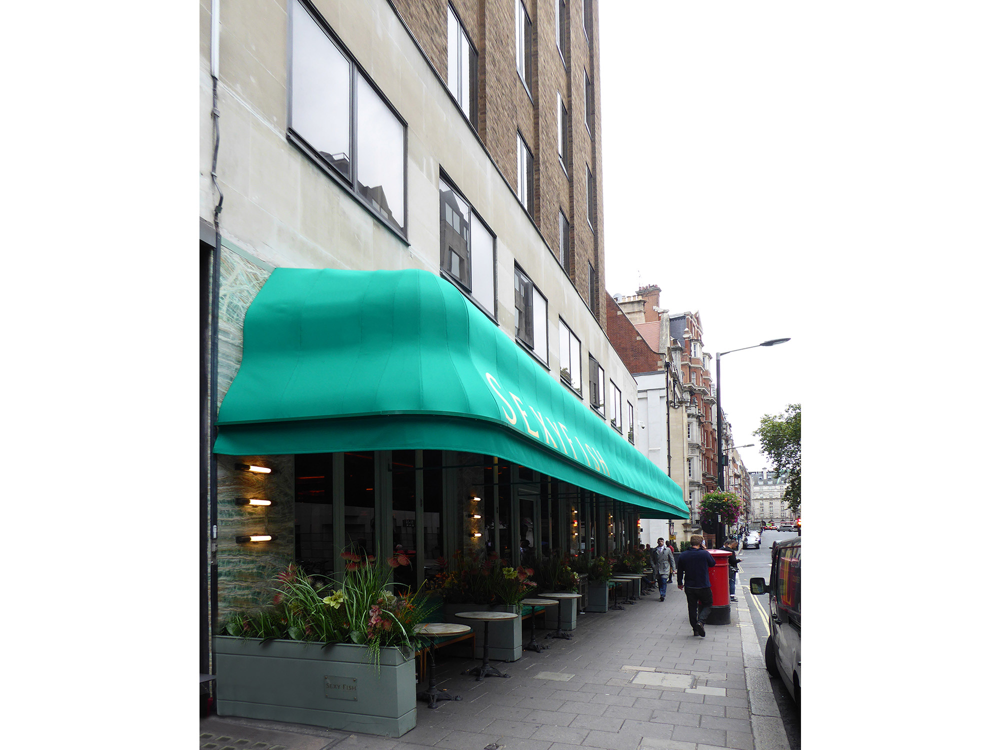 RIB®  canopy Sexyfish