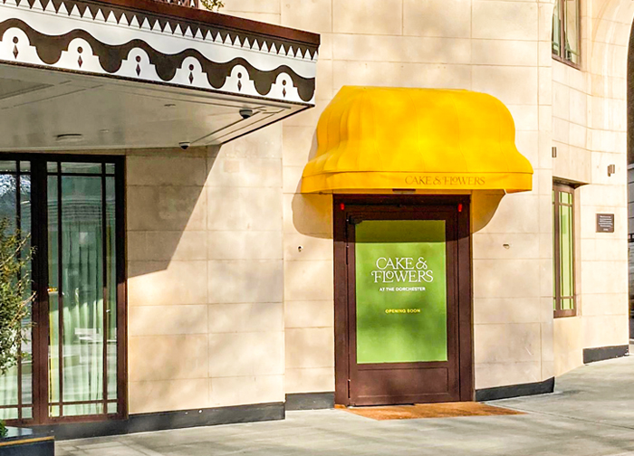  Unique Entrance Canopy