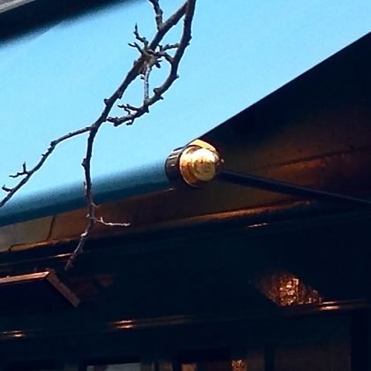 regency canopy detail image