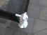 Classic Barrier Post, detail