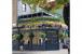 Tornado Parasols for Camden Lock Tavern
