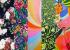 Edition Fabric By Morco 